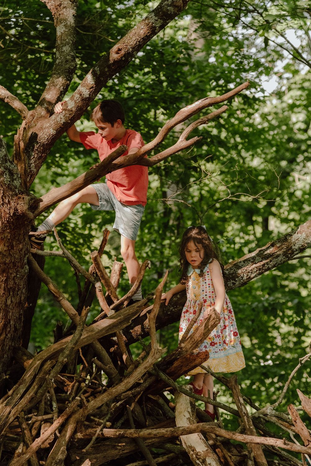 Two children climbing on a pile of branches and tree roots in a lush green forest setting.