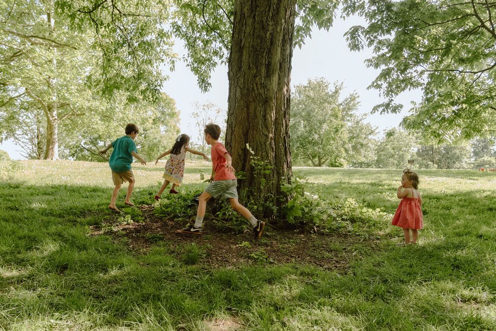 Children playing around a large tree in a lush green park on a sunny summer day.