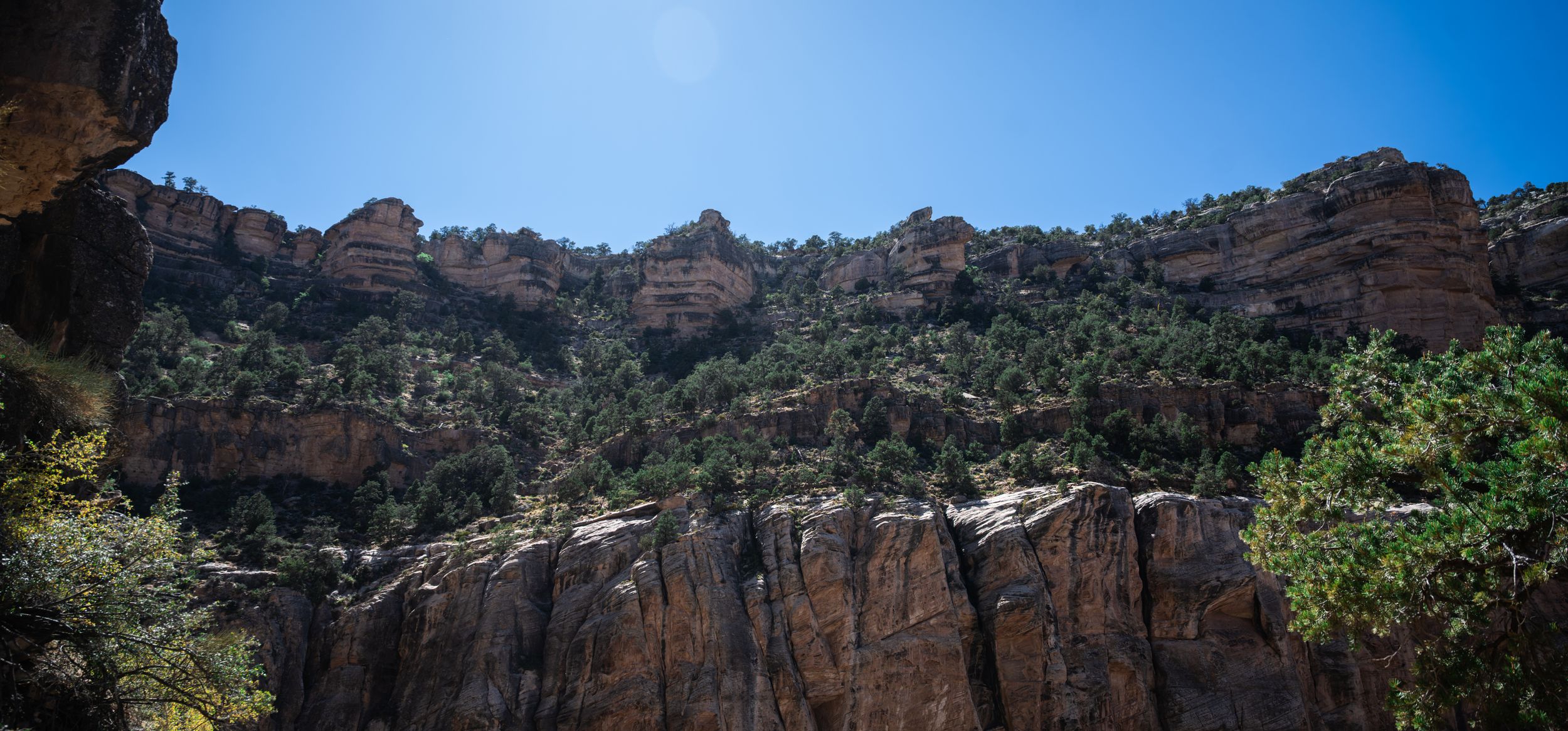 Towering red sandstone cliffs covered with lush green trees at the Grand Canyon under a bright blue sky.