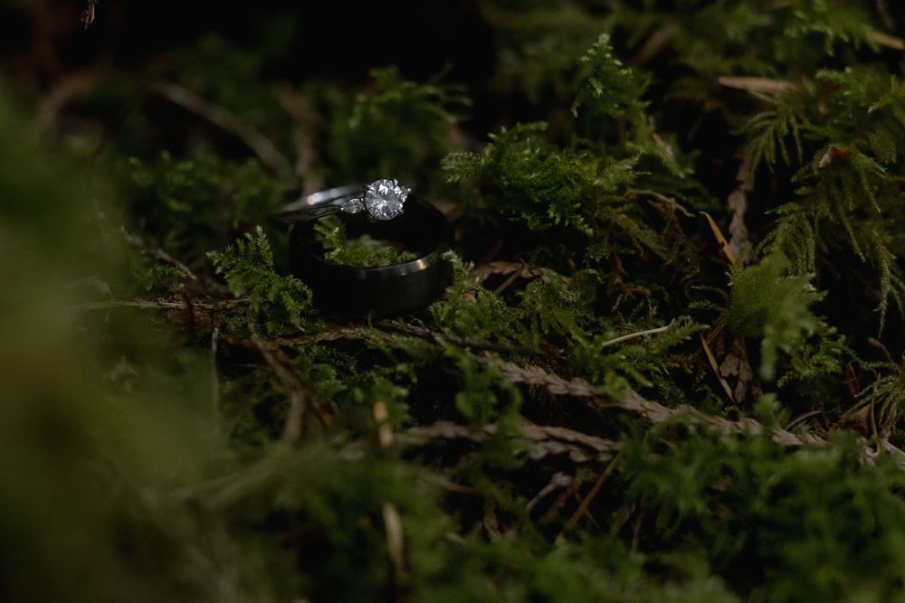 A diamond engagement ring resting on lush green moss in a dark forest setting.