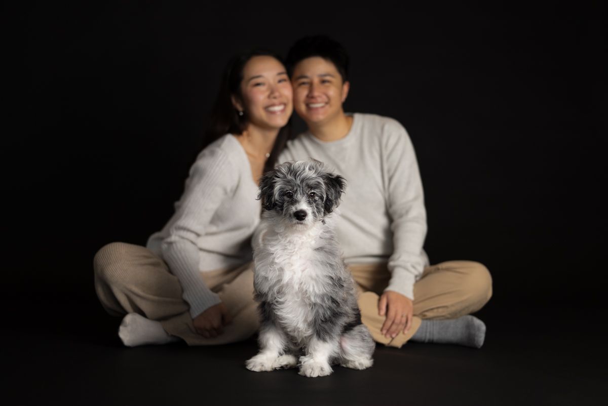 Smiling couple in matching sweaters sitting with a fluffy gray and white puppy on a black background Rouse hill puppy photoshoot