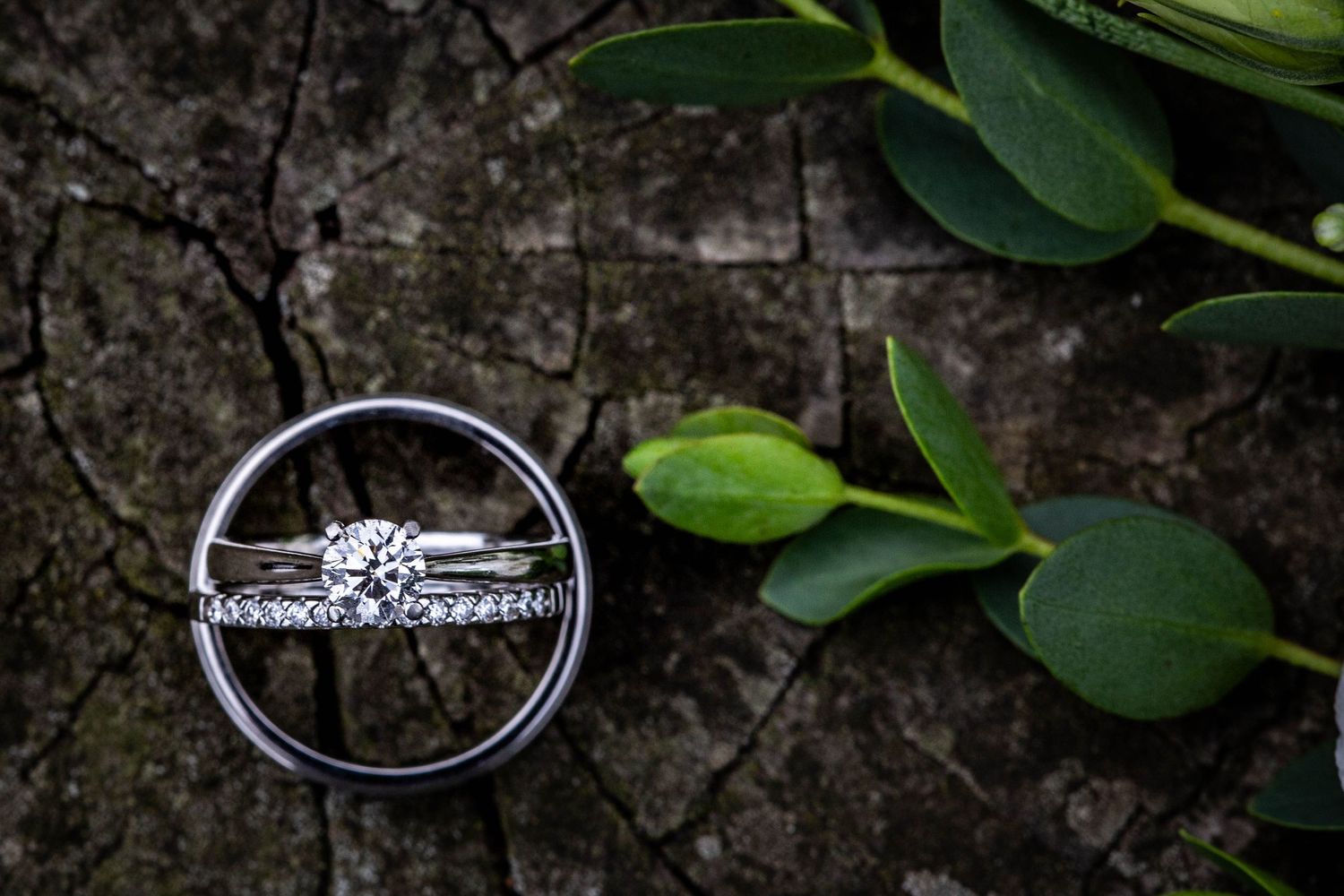 White gold diamond engagement ring and wedding band set displayed on rustic wood surface with green leaves.