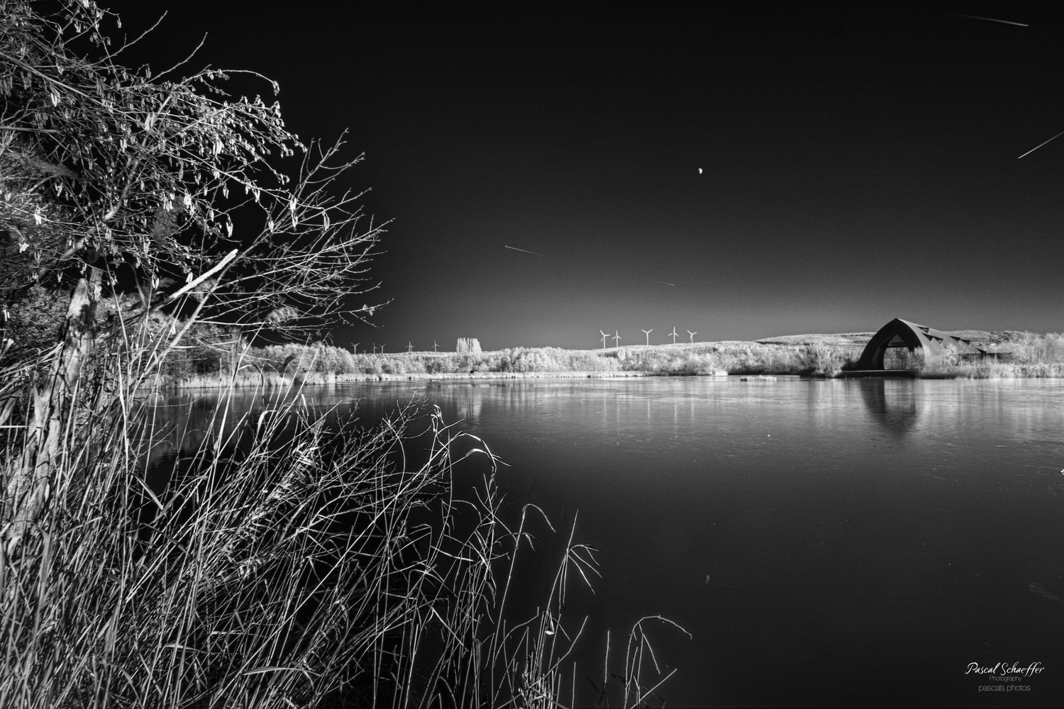 Black and white infrared photo of calm lake with barn and tall grasses.