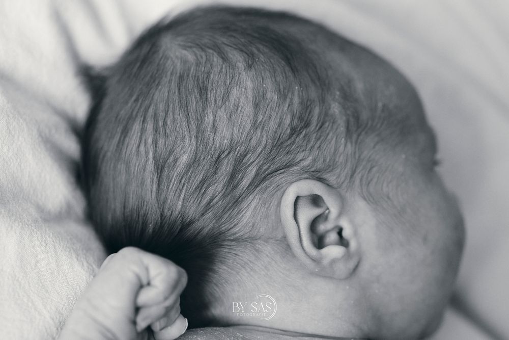 Black and white newborn baby photo showing the back of an infant's head with fine hair and tiny clenched fist.