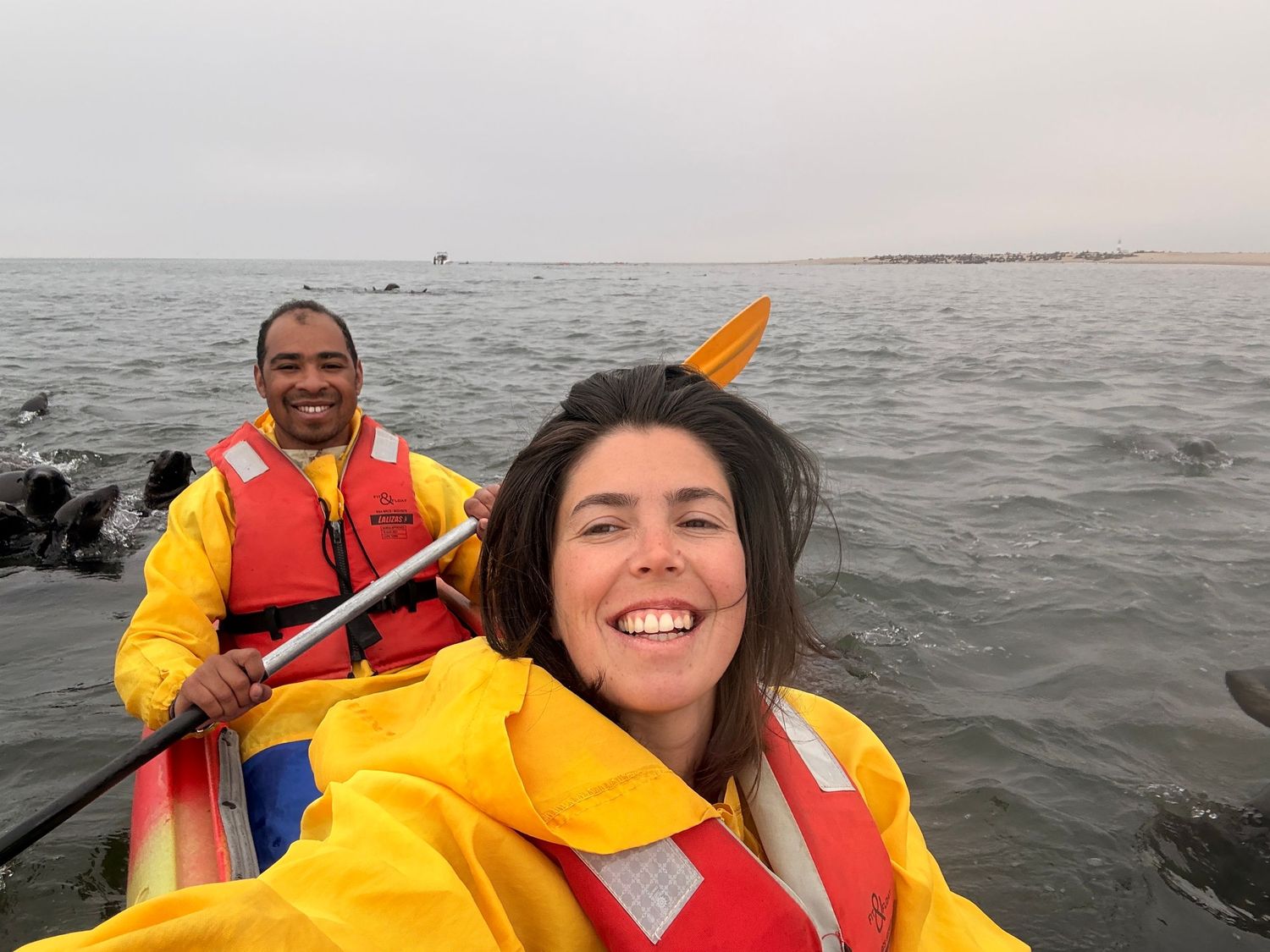 couple sur kayak avec les otaries qui nagent autour du bateau