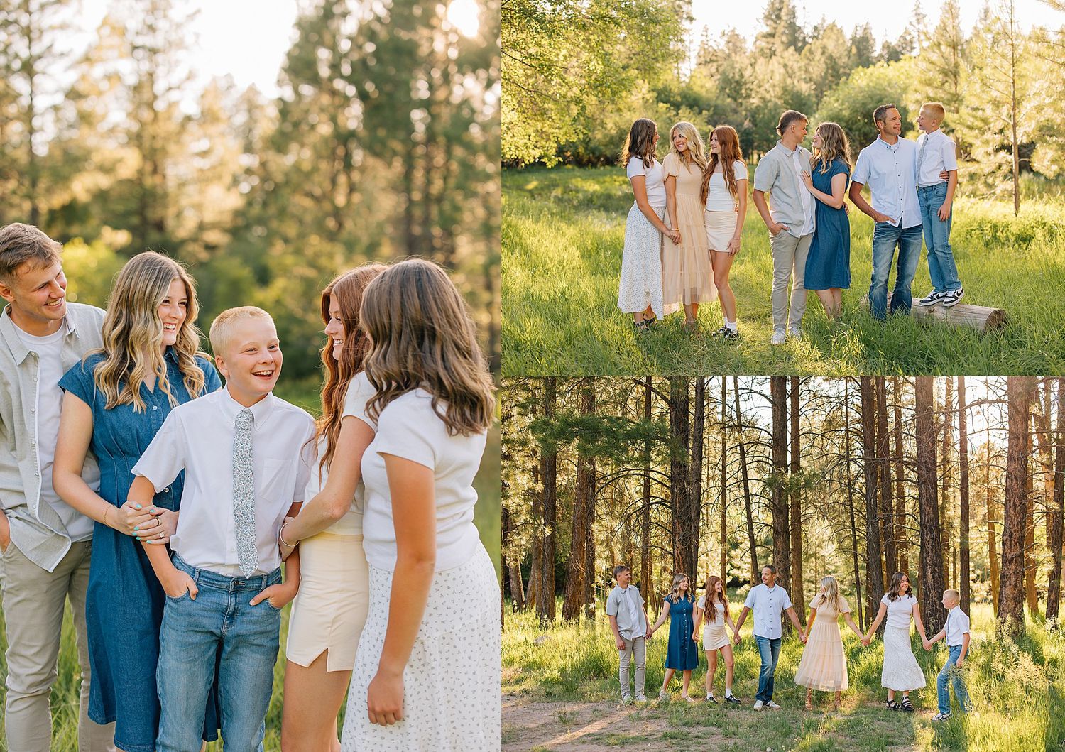 Family portrait session in a sunlit forest meadow with adults and children in coordinating white and denim outfits.