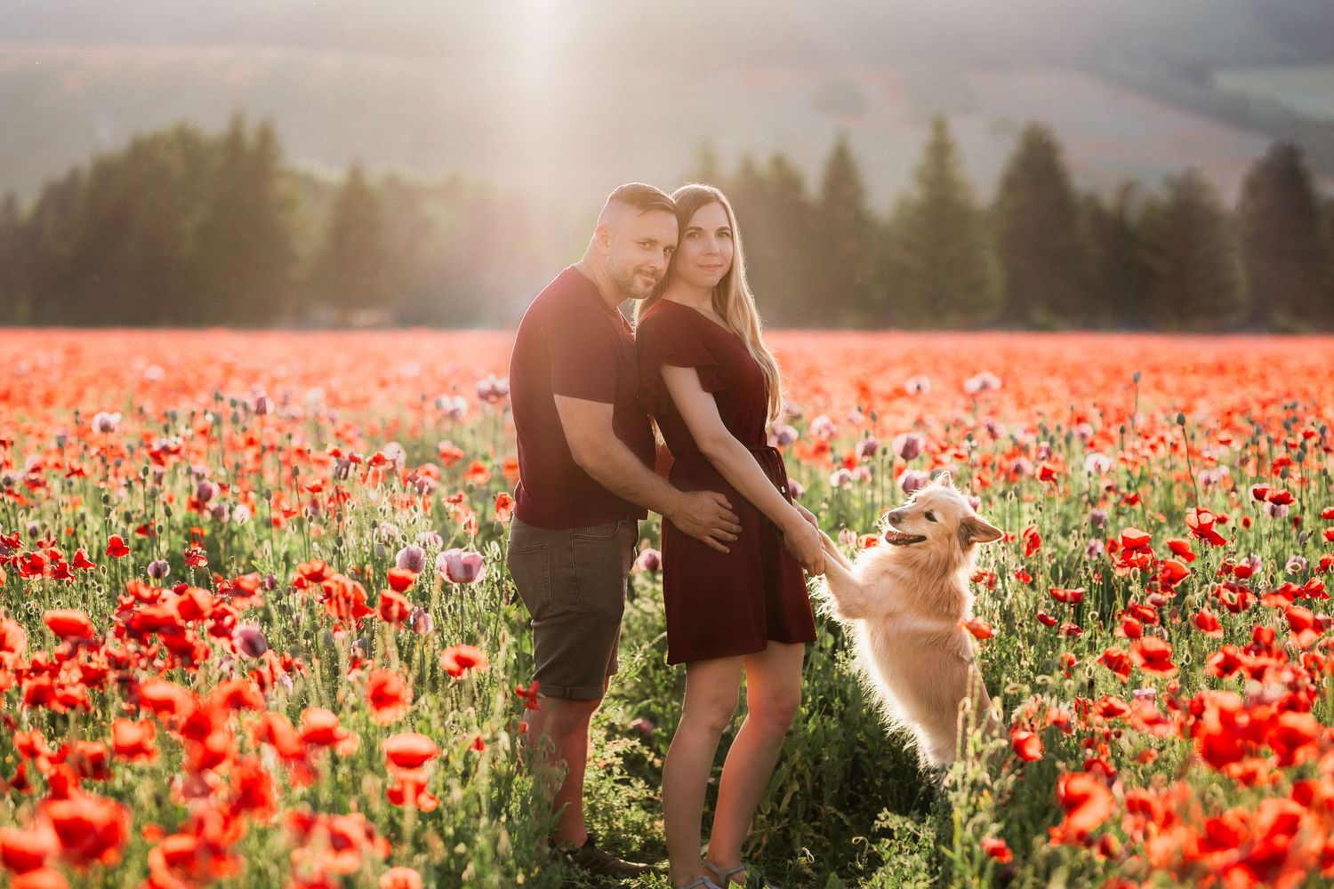 Pár držiaci sa za ruky so psíkom v nekonečnom poli vlčích makov. Umelecká fotografia v prírode od Foxography, okres Žilina.