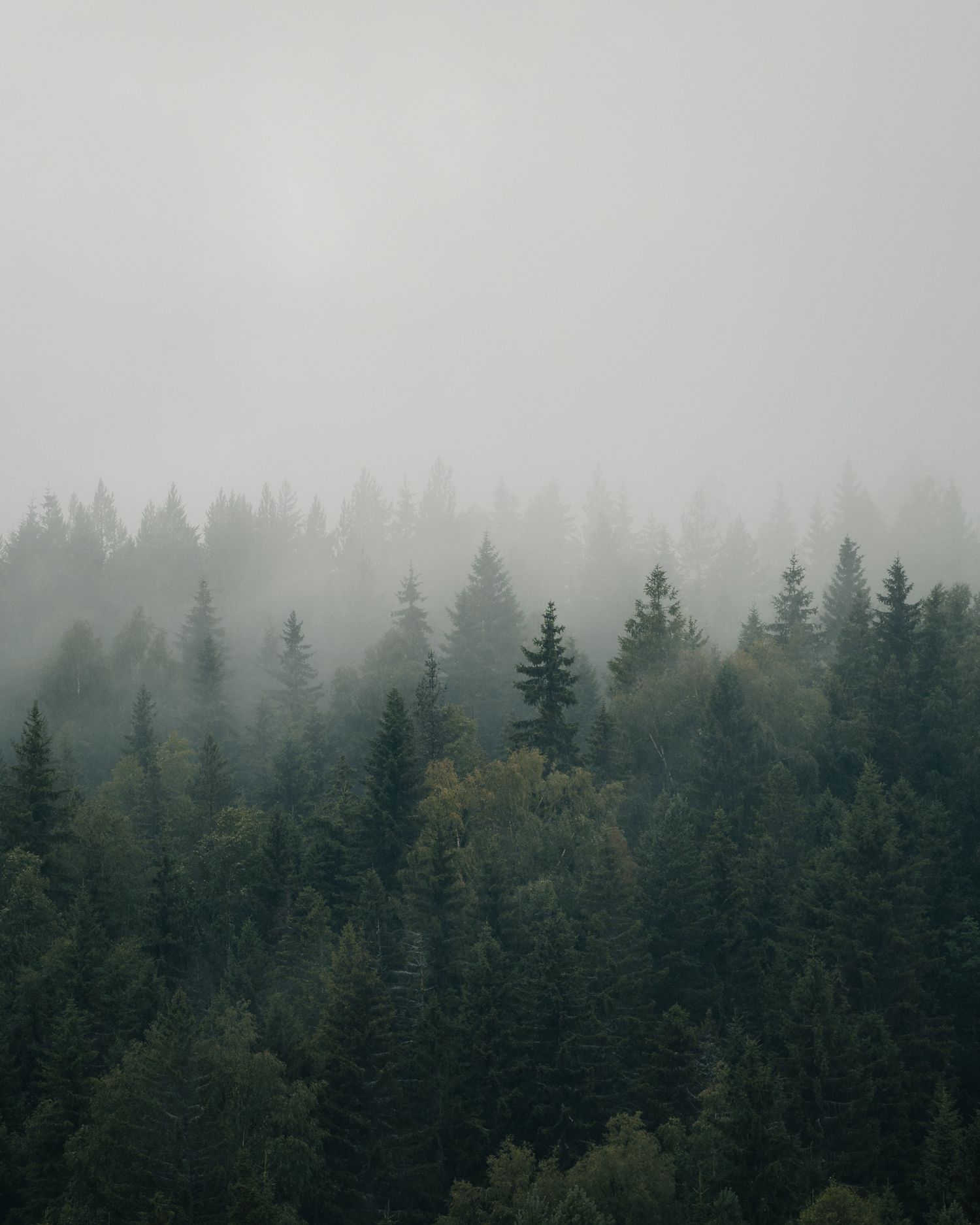 Naturfotograf, Leksand, Dalarna