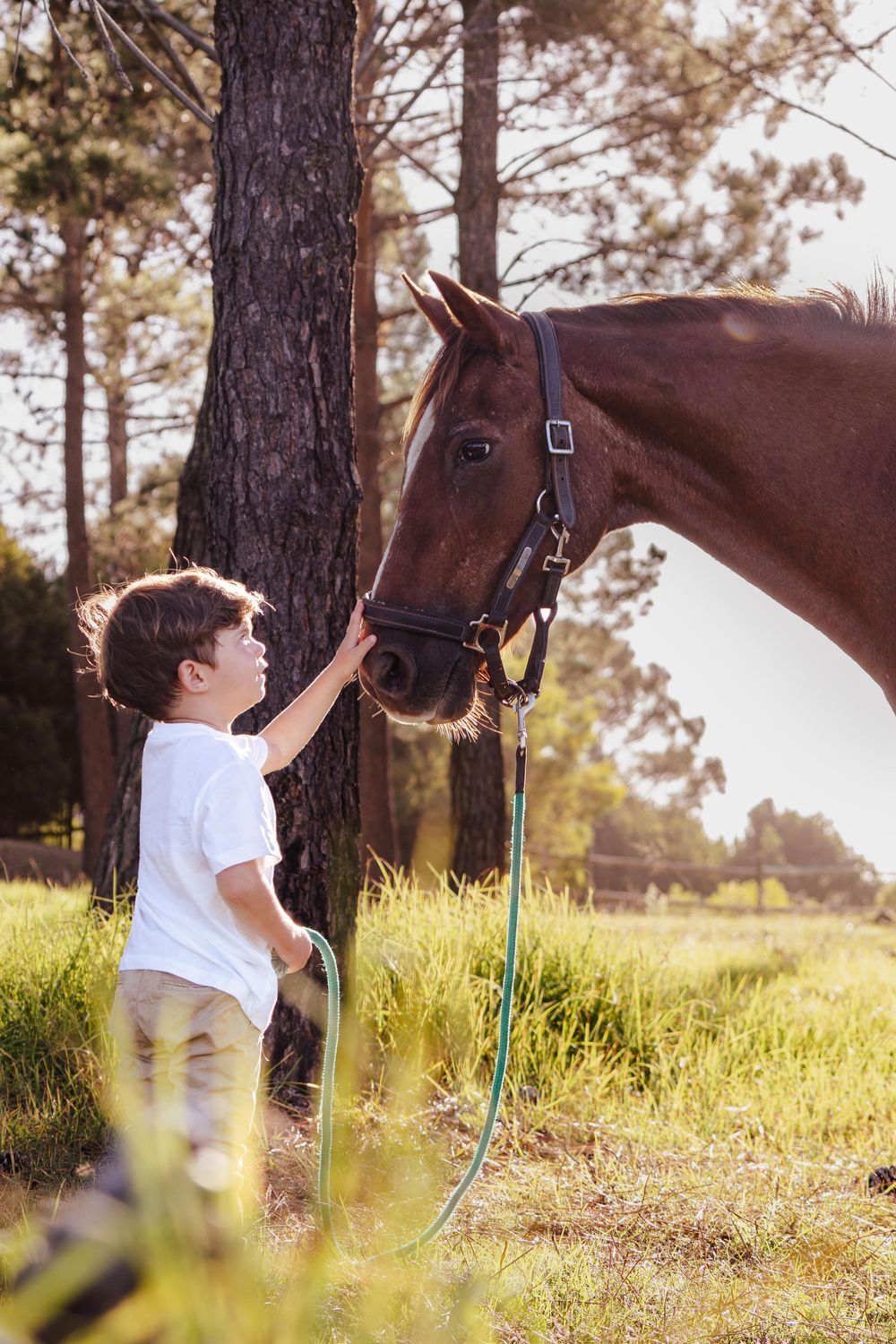Family portrait session photographed outdoors in the Garden Route