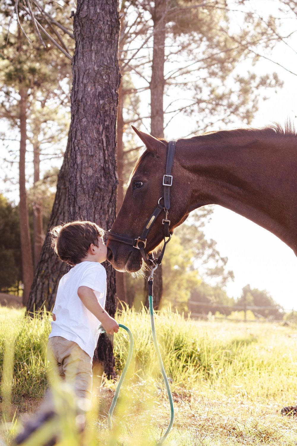 Family portrait session photographed outdoors in the Garden Route