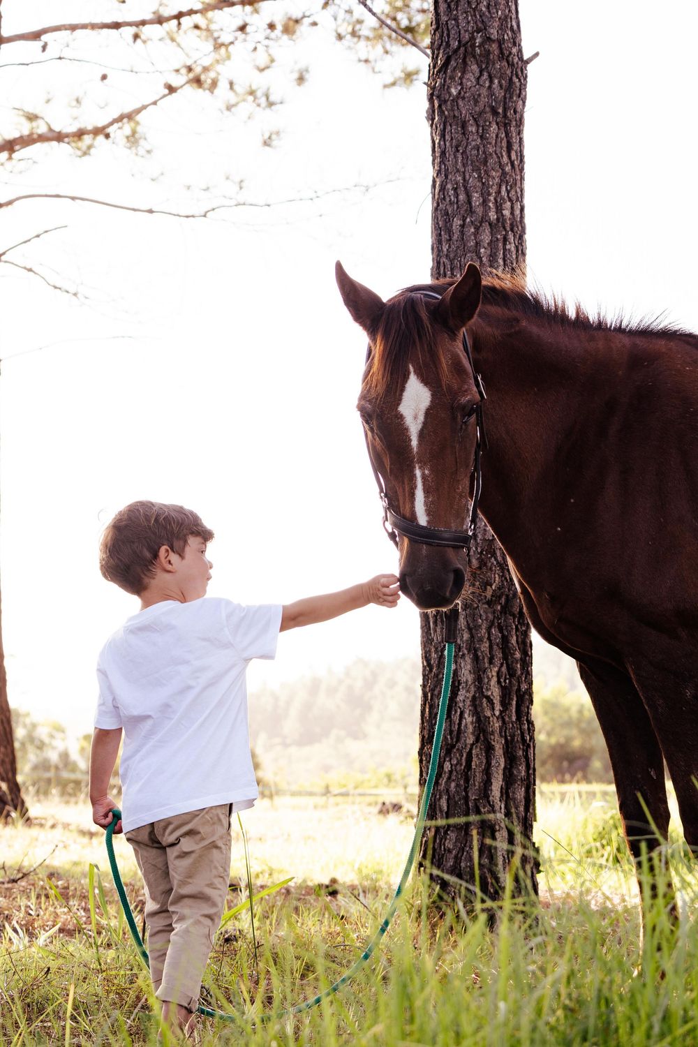 Family portrait session photographed outdoors in the Garden Route