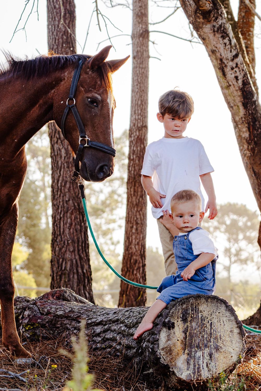 Family portrait session photographed outdoors in the Garden Route