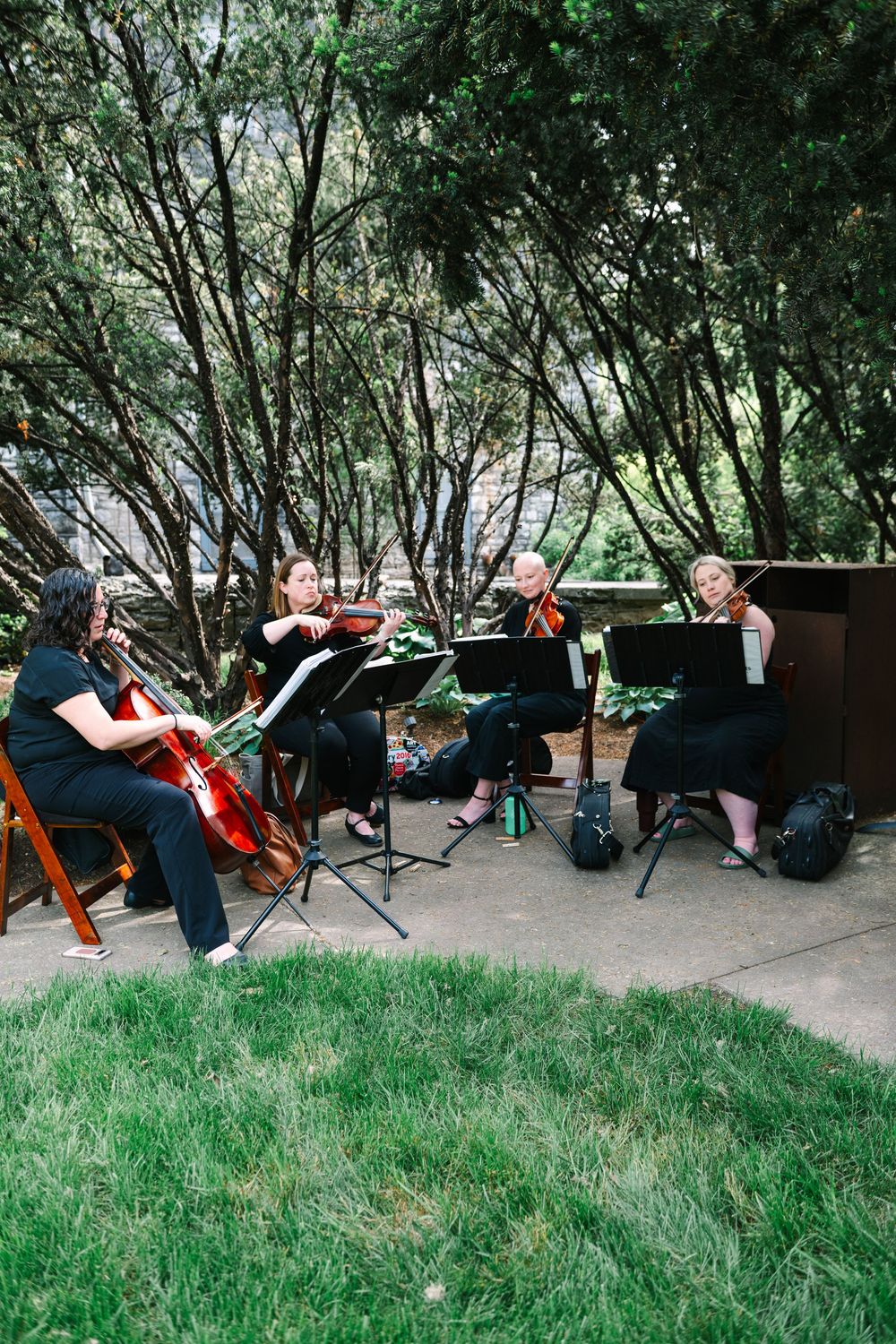 String quartet musicians performing outdoors on a grassy area under tree cover.