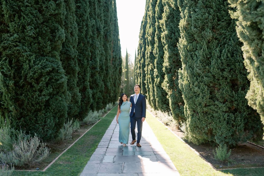 A scenic pathway lined with tall cypress trees leads through a lush garden in Italy.