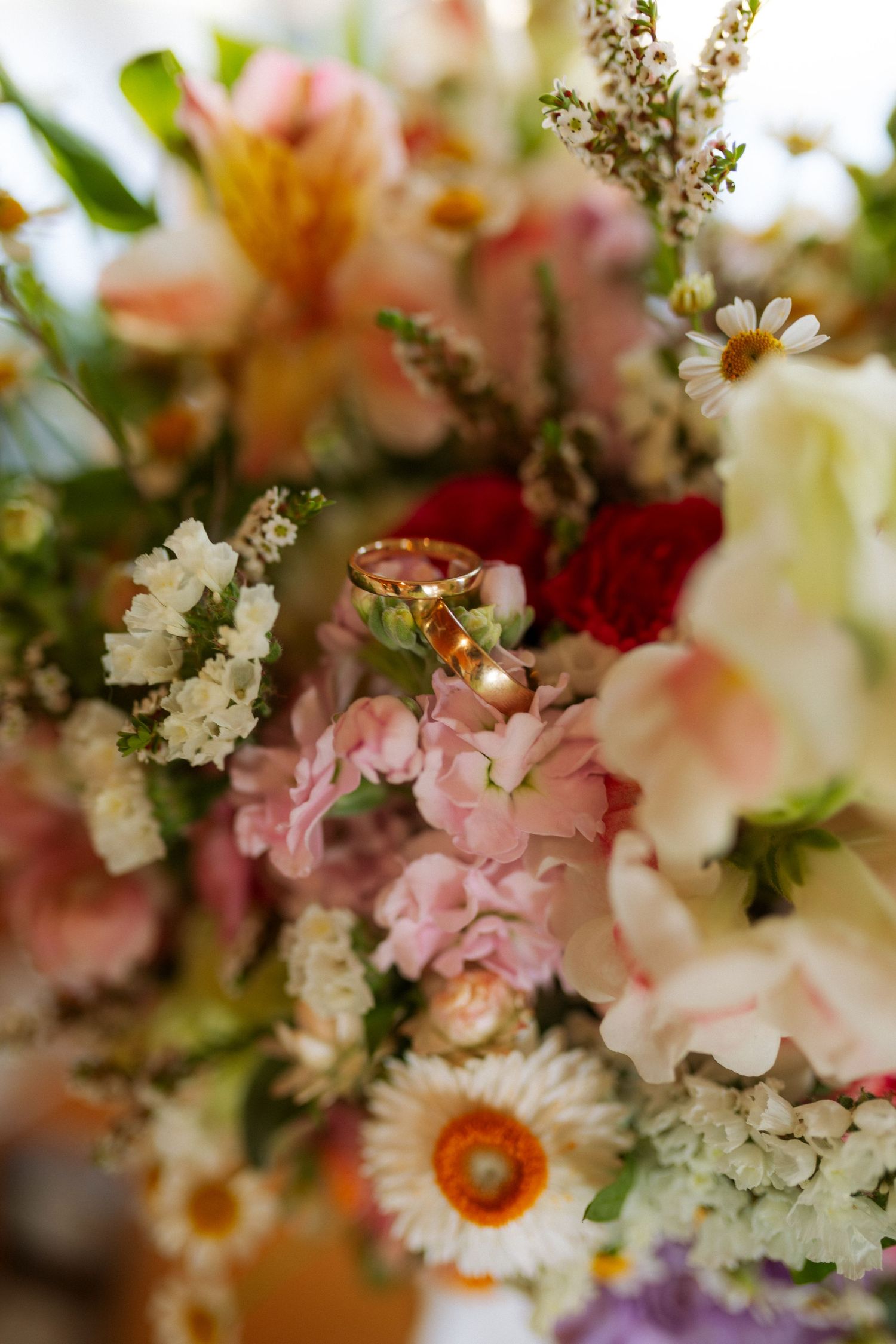 Hedlow Creek Wedding Photography
ROCKHAMPTON WEDDING PHOTOGRAPHER