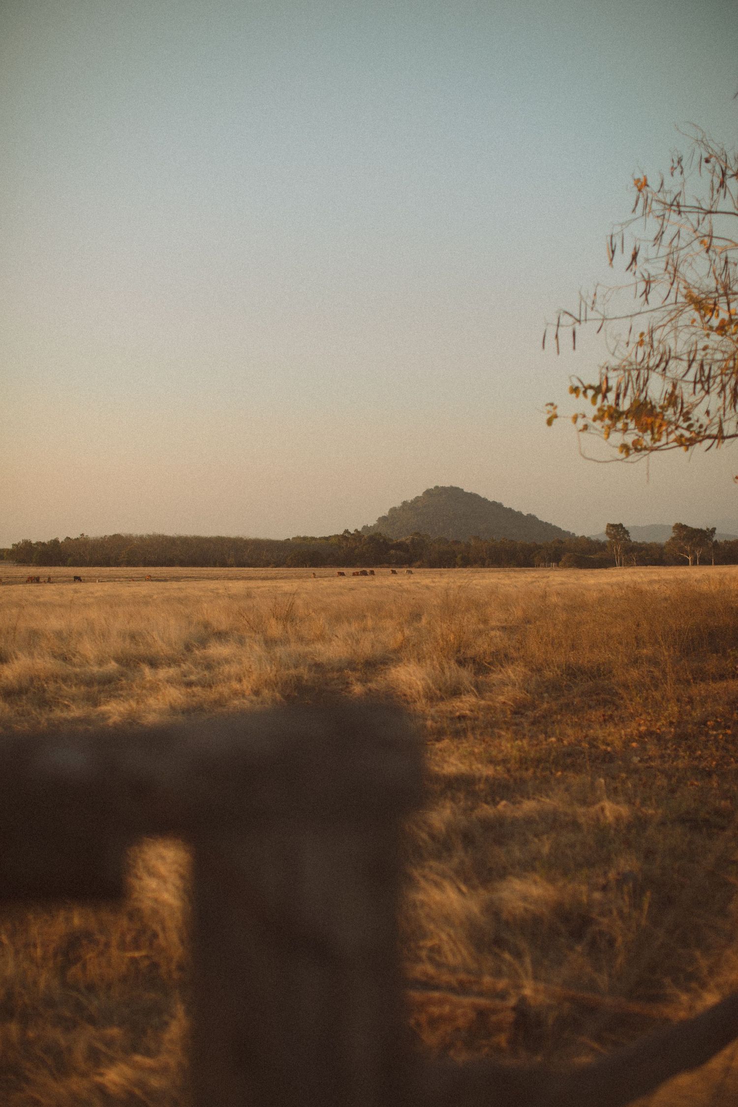 Hedlow Creek Wedding Photography
ROCKHAMPTON WEDDING PHOTOGRAPHER