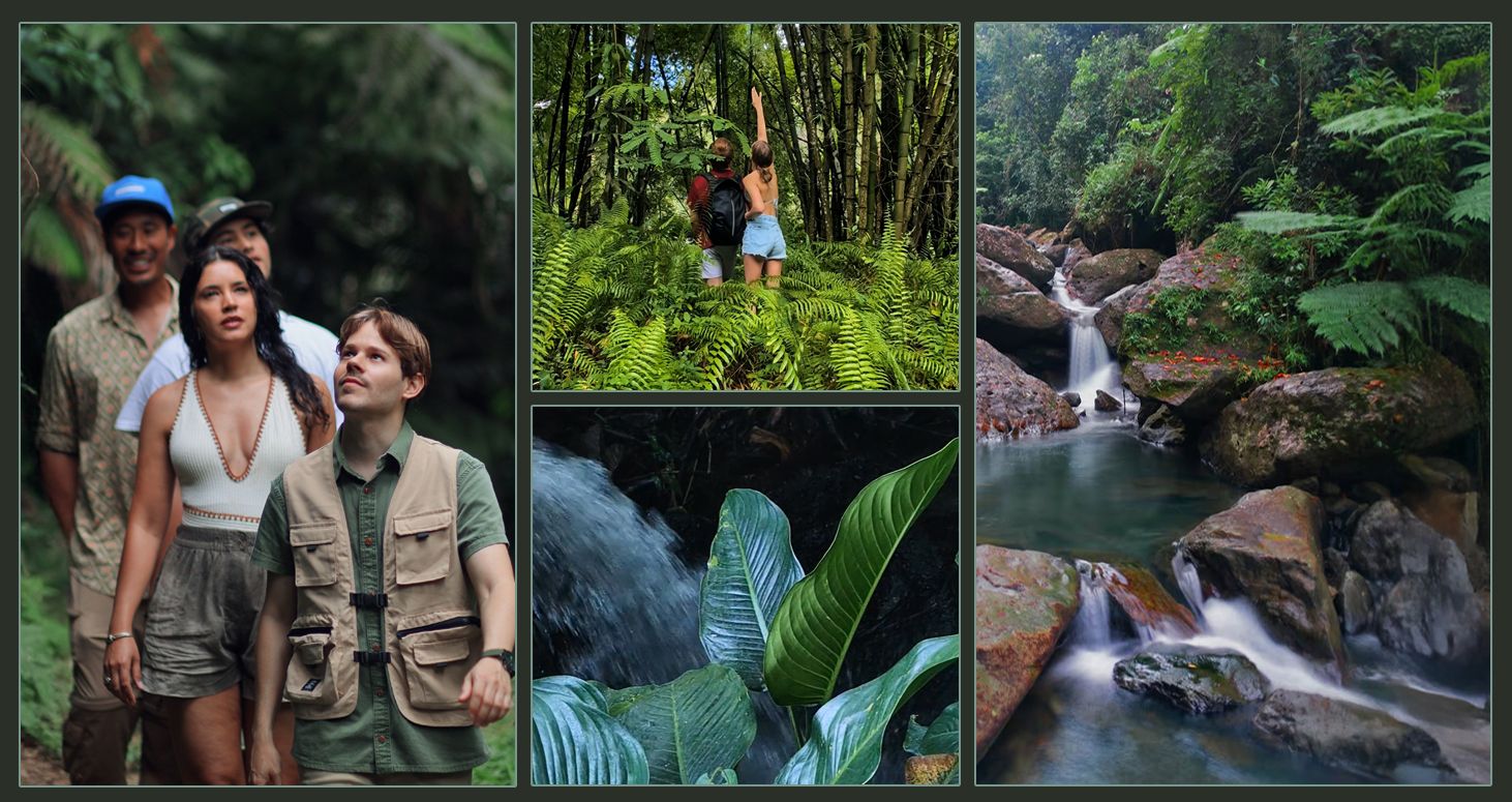 Puerto Rico Private Tours. Local Guide. Explore Puerto Rico Like a Local. Private Tour. River Experience. El Yunque. Nature Tour.