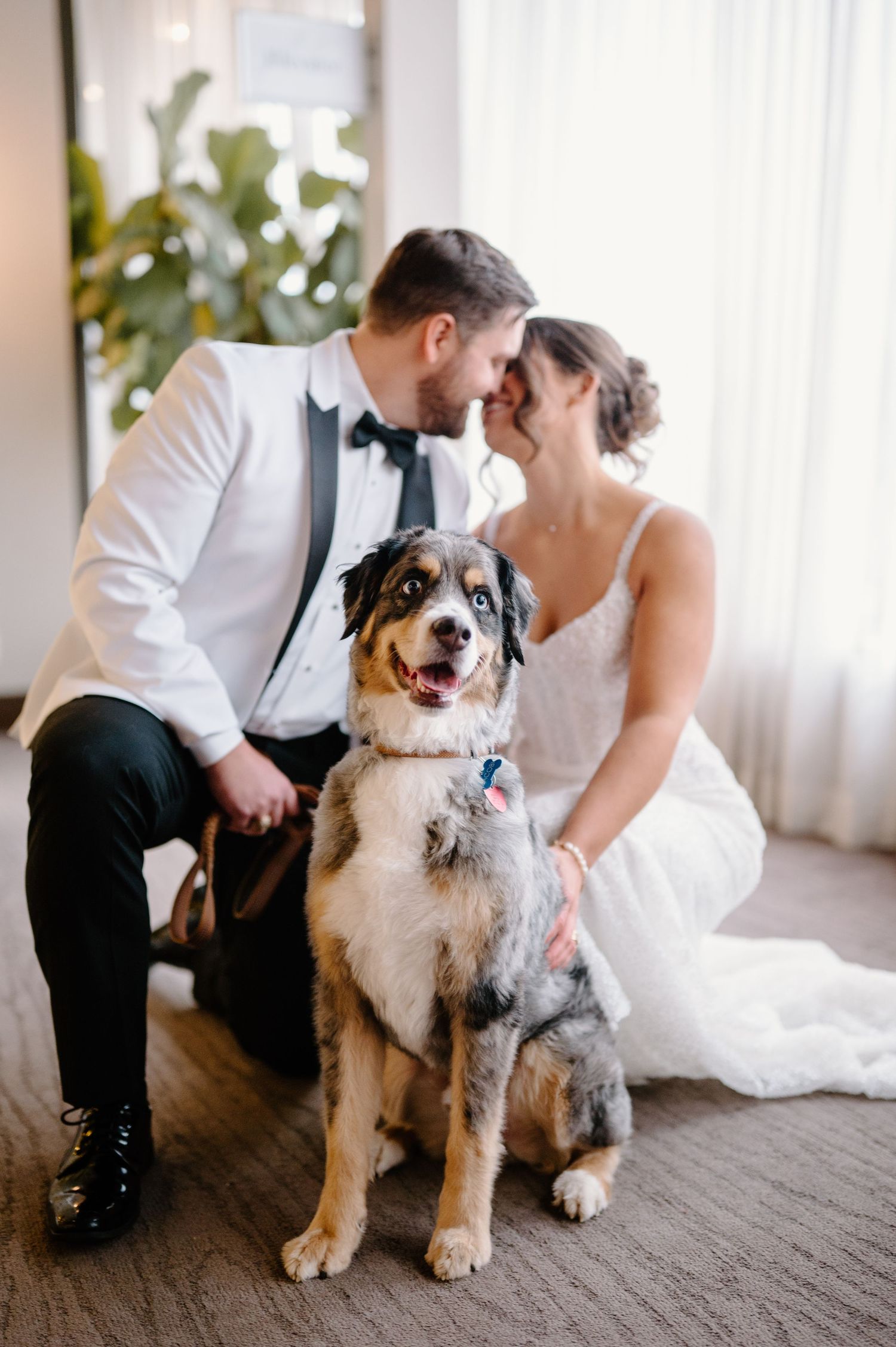 A couple in wedding attire shares a tender moment with their fluffy white and grey dog on a carpeted floor.