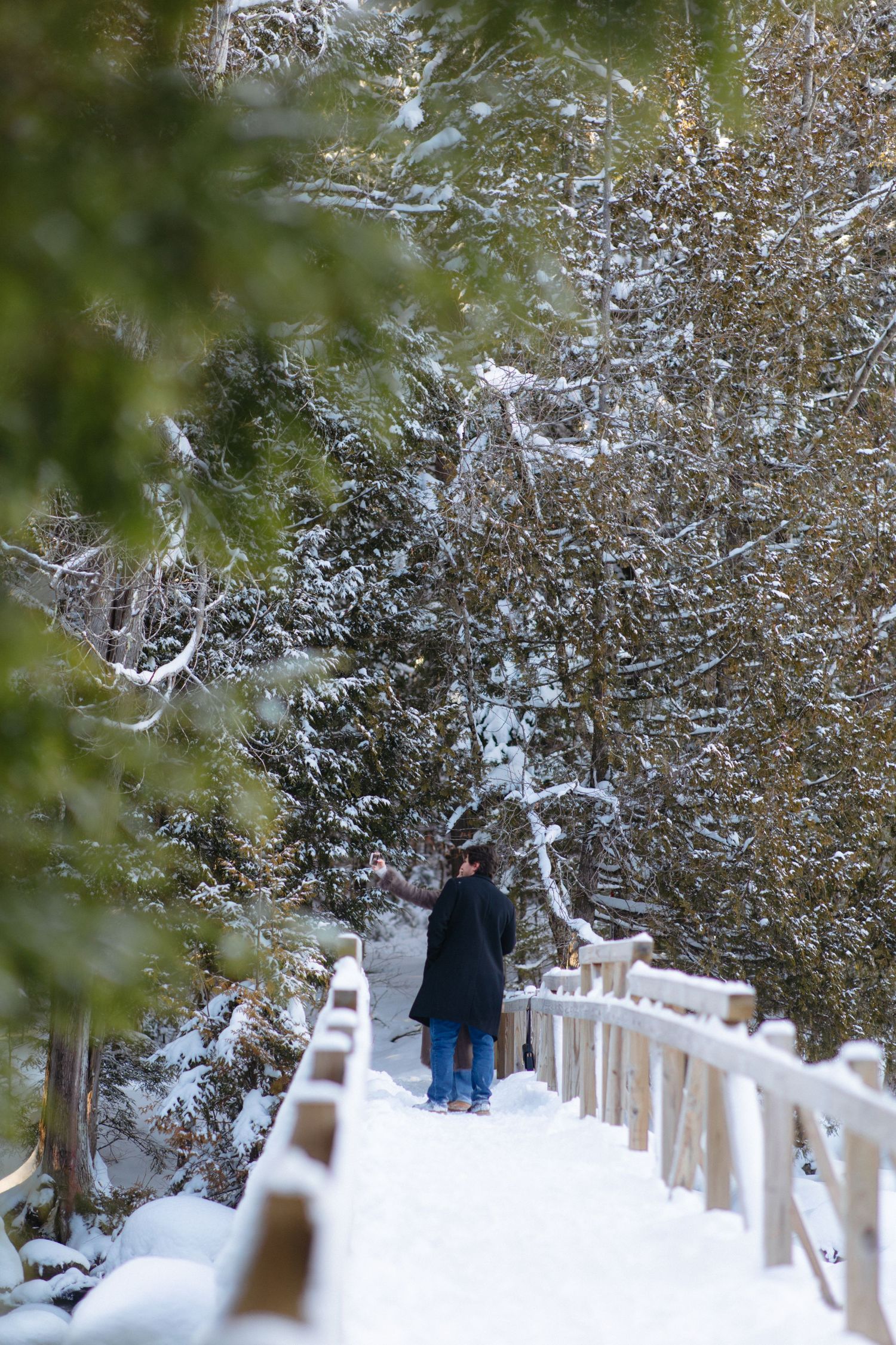 A snowy winter path through evergreen trees with a wooden railing covered in fresh white snow.