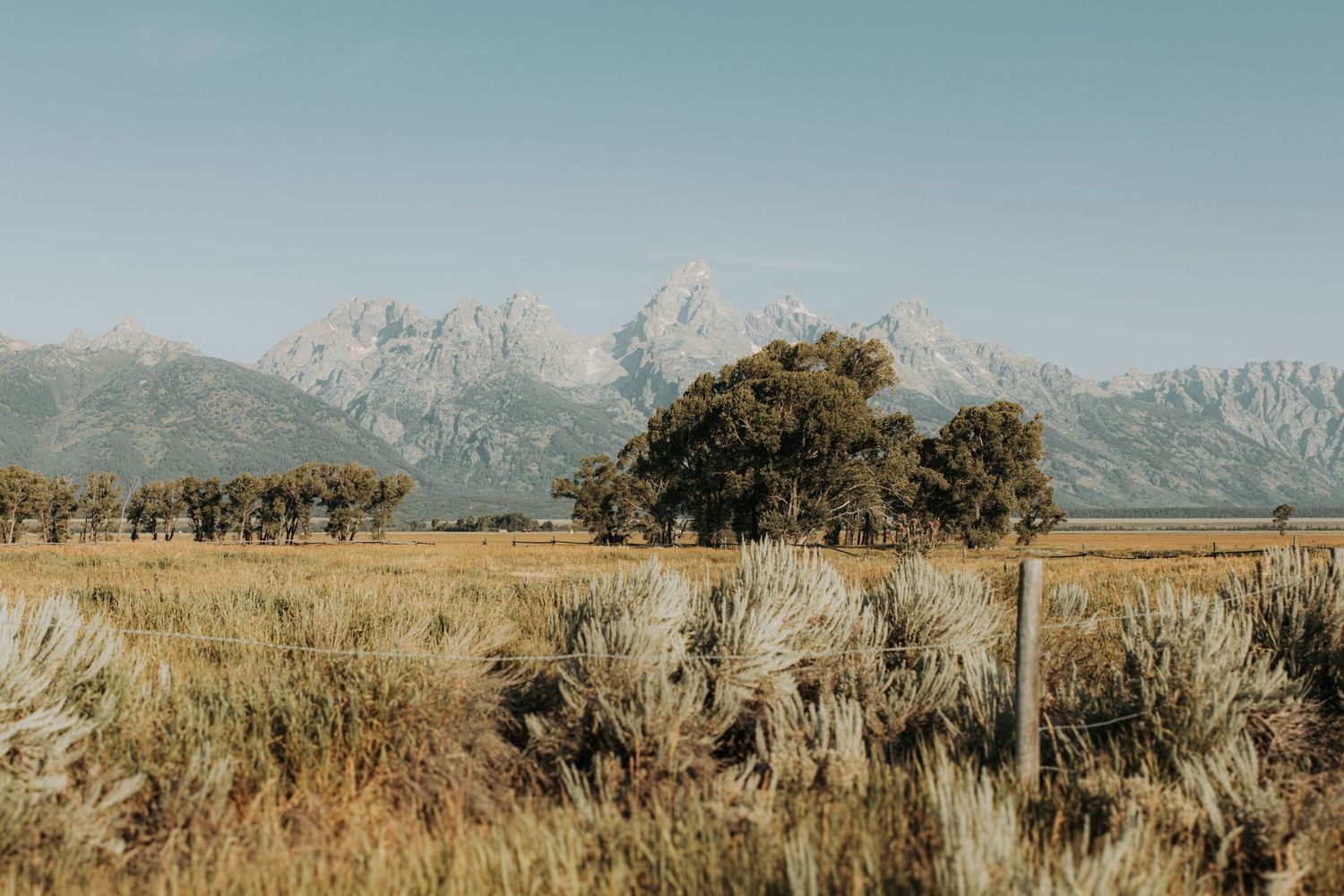Wide panoramic view of snow-capped mountains against a cloudy sky with golden grassland in the foreground.