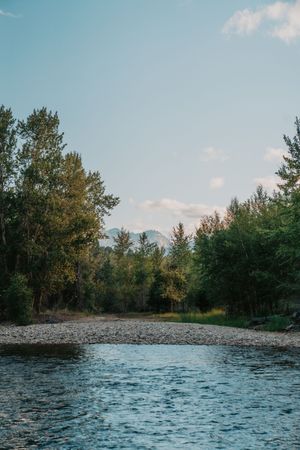 Serene waterfront landscape showing rocky riverbank surrounded by evergreen trees under a bright blue sky.