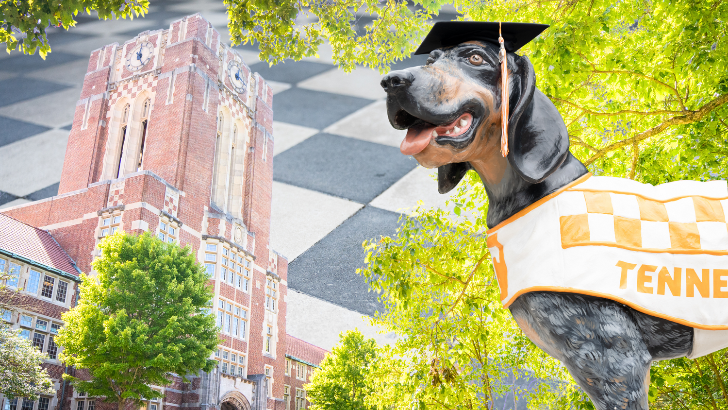 graduate photos knoxville university of tennessee