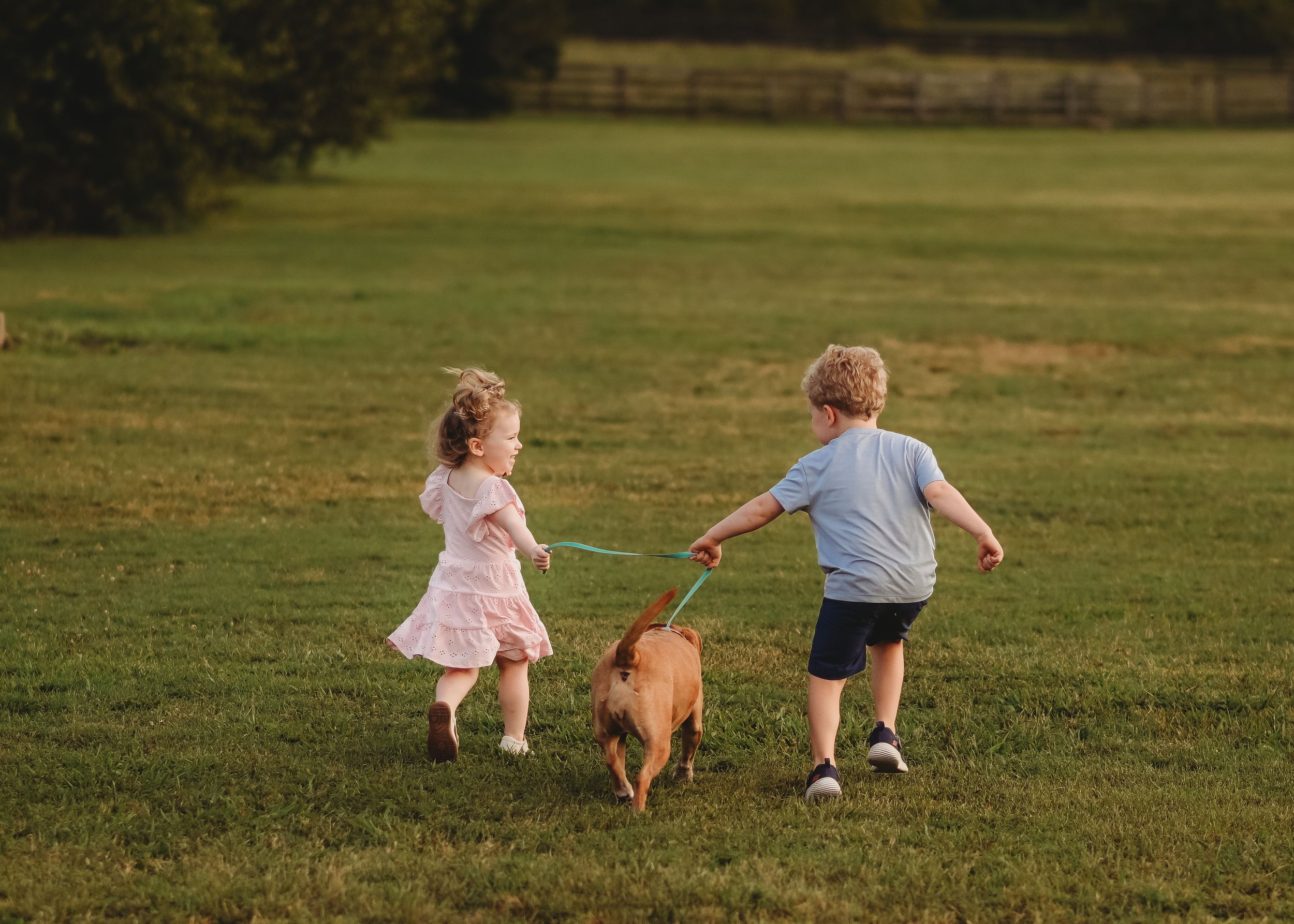 Two children and a dog play together on a grassy field during golden hour.