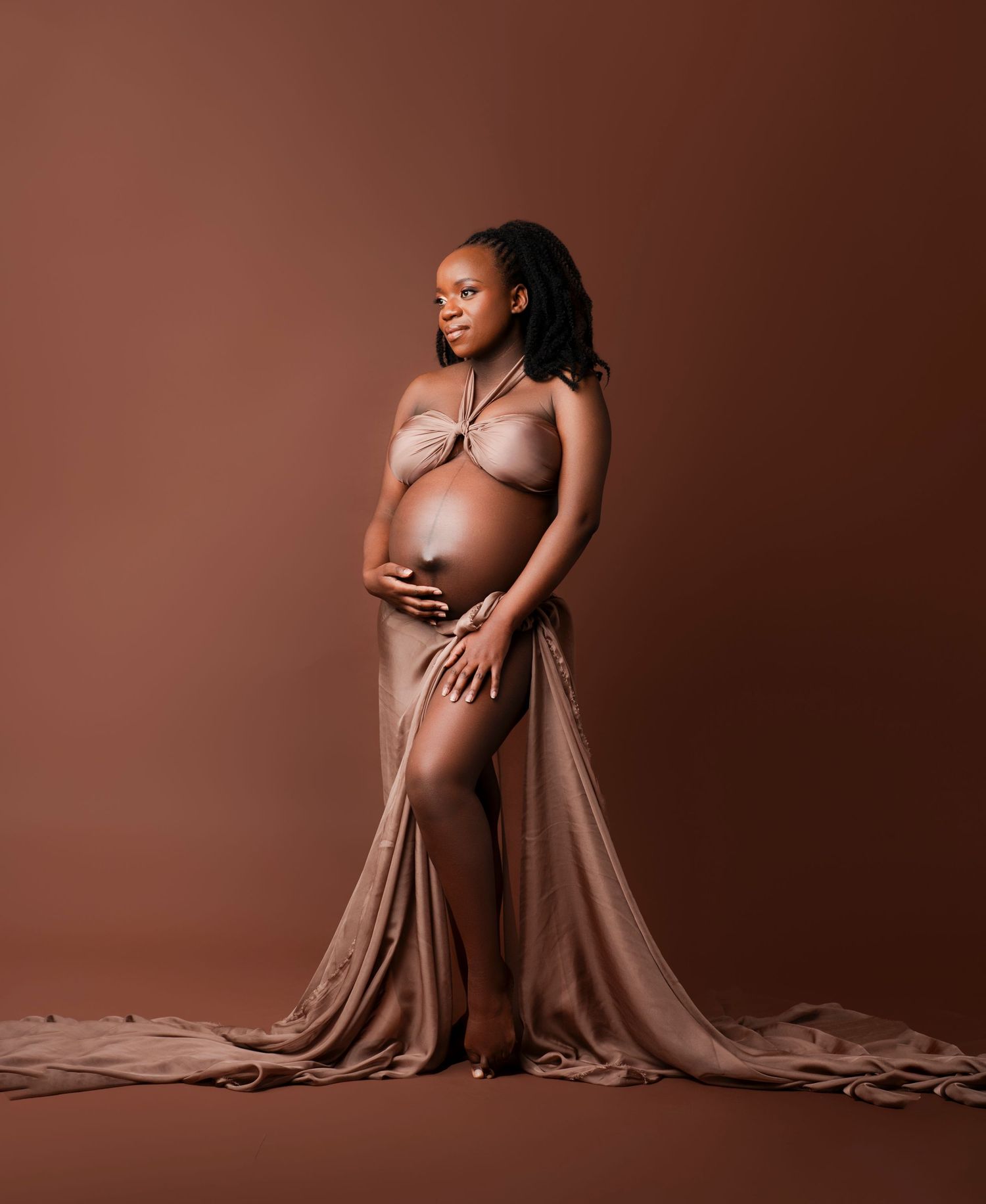 Artistic maternity photo collection showing elegant poses in brown tones against a neutral studio backdrop.