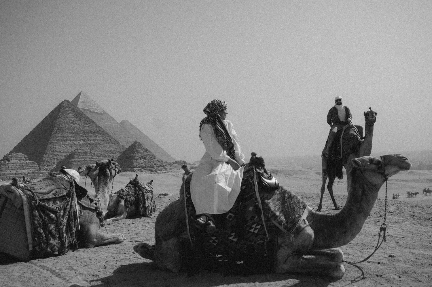 A black and white photo series showing tourists riding camels near the pyramids of Giza in Egypt.