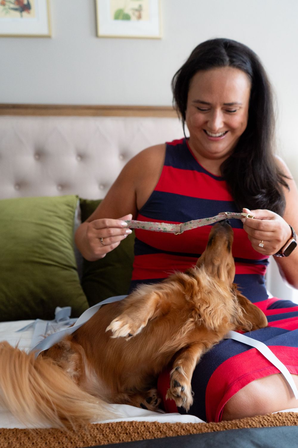 someone wearing a red and navy dress petting a golden-colored dog resting on a couch with green pillows.