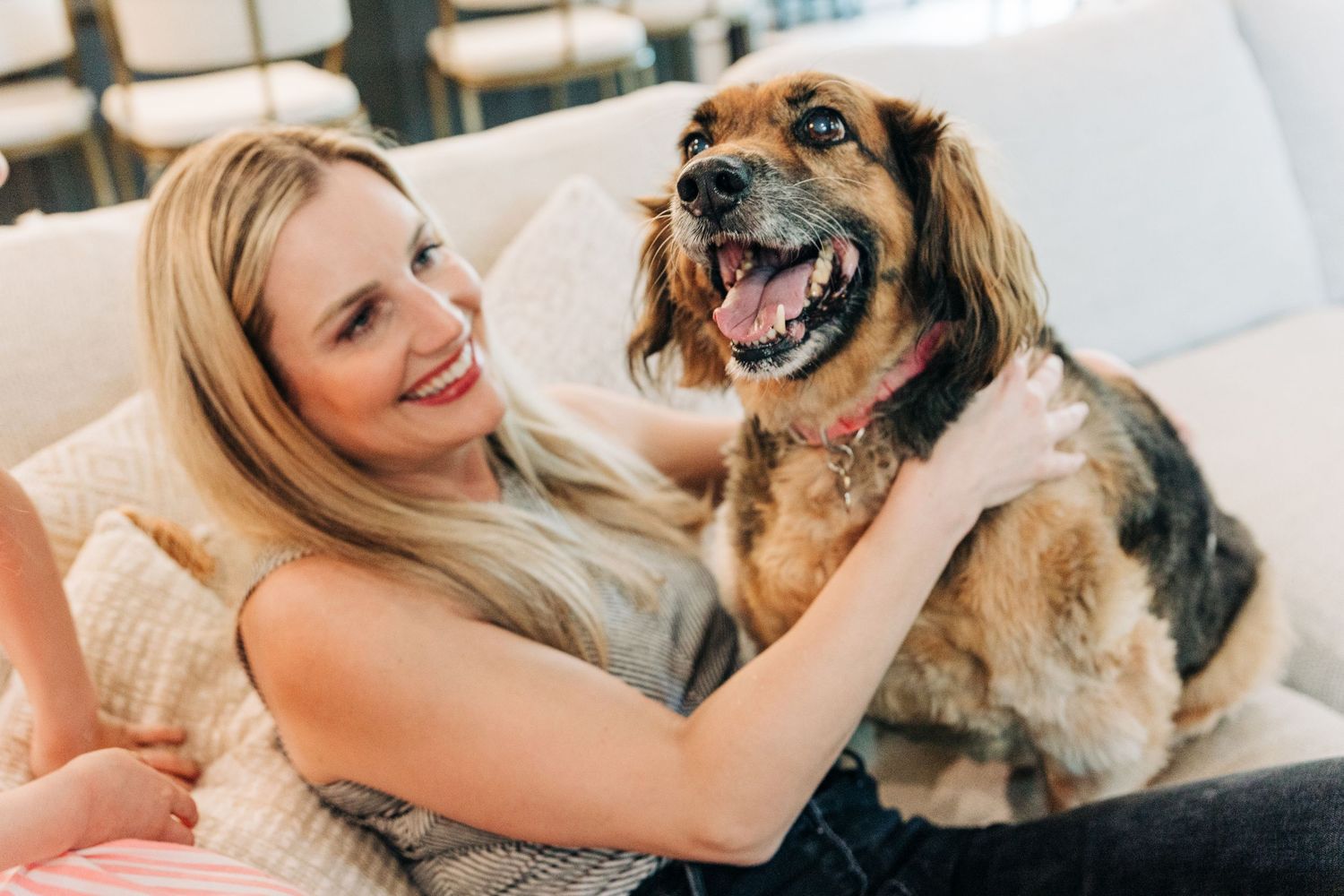 A happy German Shepherd mix dog shares joyful moments with its owner on a couch during a candid home photoshoot.