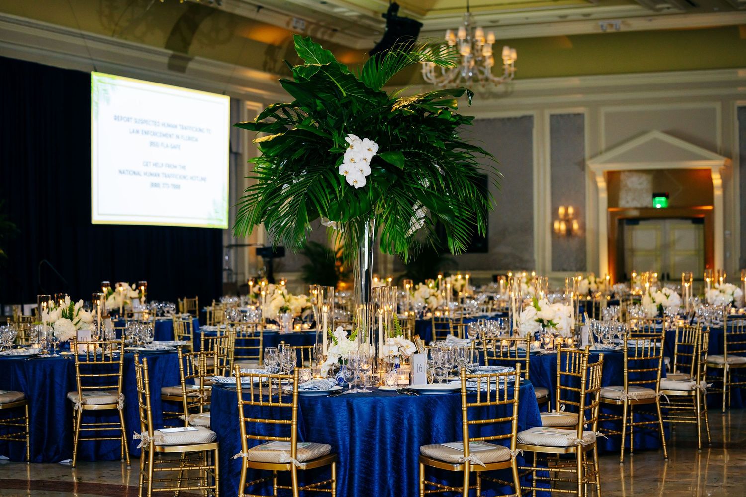 Elegant ballroom setup with navy blue and gold decor featuring round tables, chandeliers and tropical greenery accents.