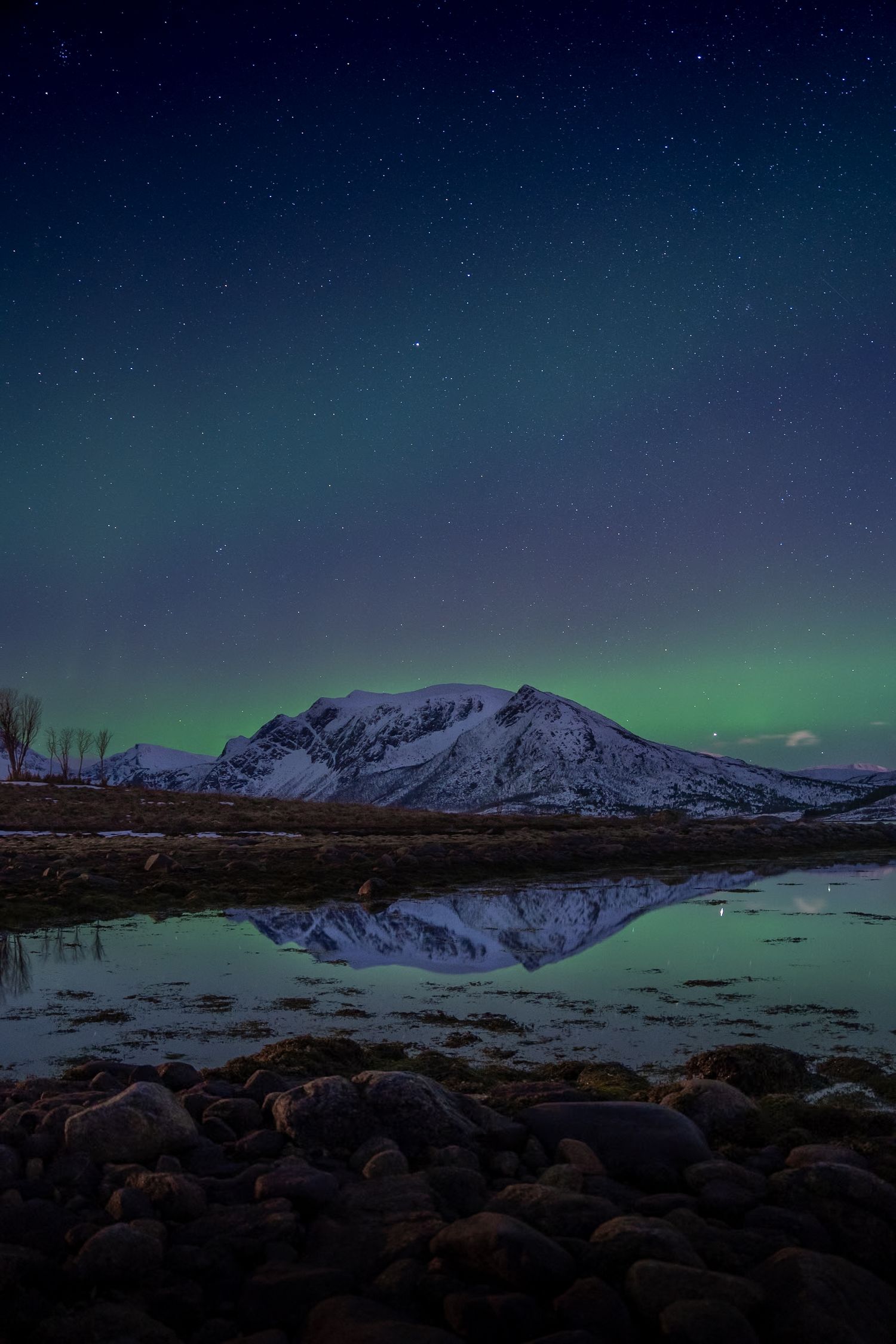 aurores boreales dans les lofoten avec reflet des montagnes dans le fjord