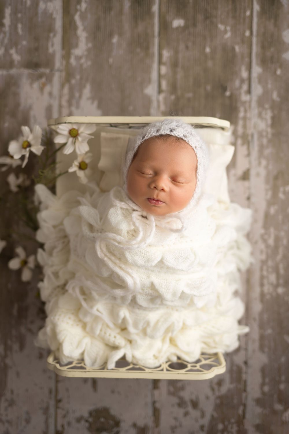 Baby girl in cream bed on wood floor, taken by Jen Knightstep, Photographer