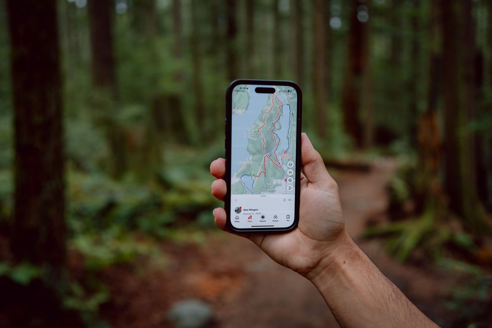 Person holding smartphone in forest showing social media app interface while surrounded by nature and trees.