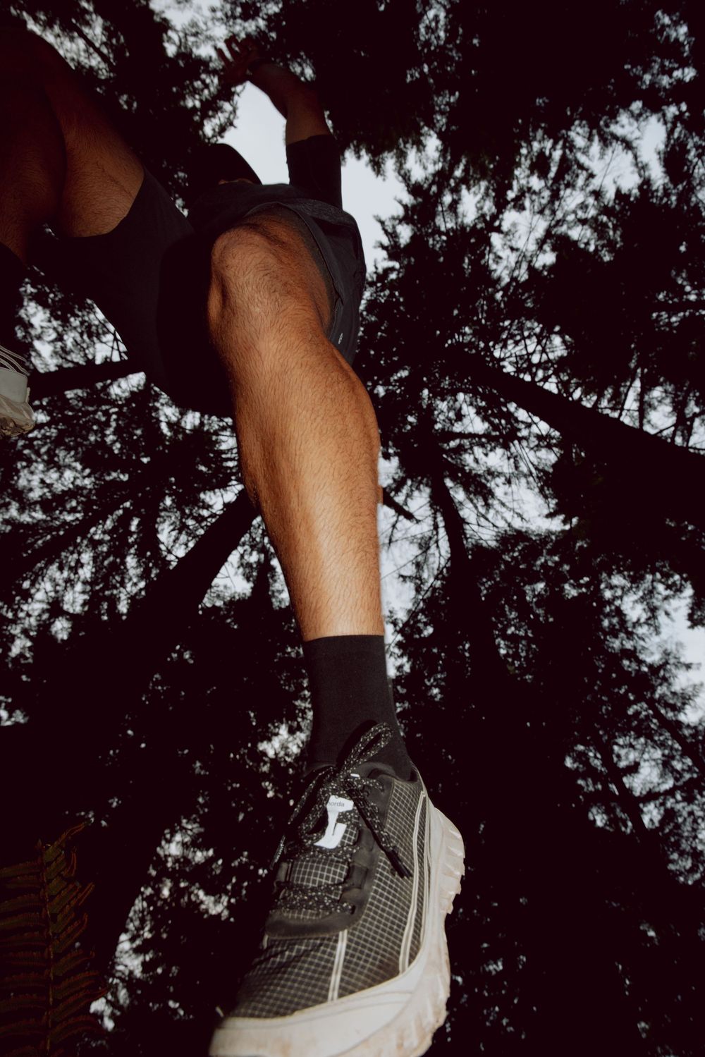 Looking up at tall evergreen trees through a leg wearing a chunky sneaker and black sock against a dark sky.