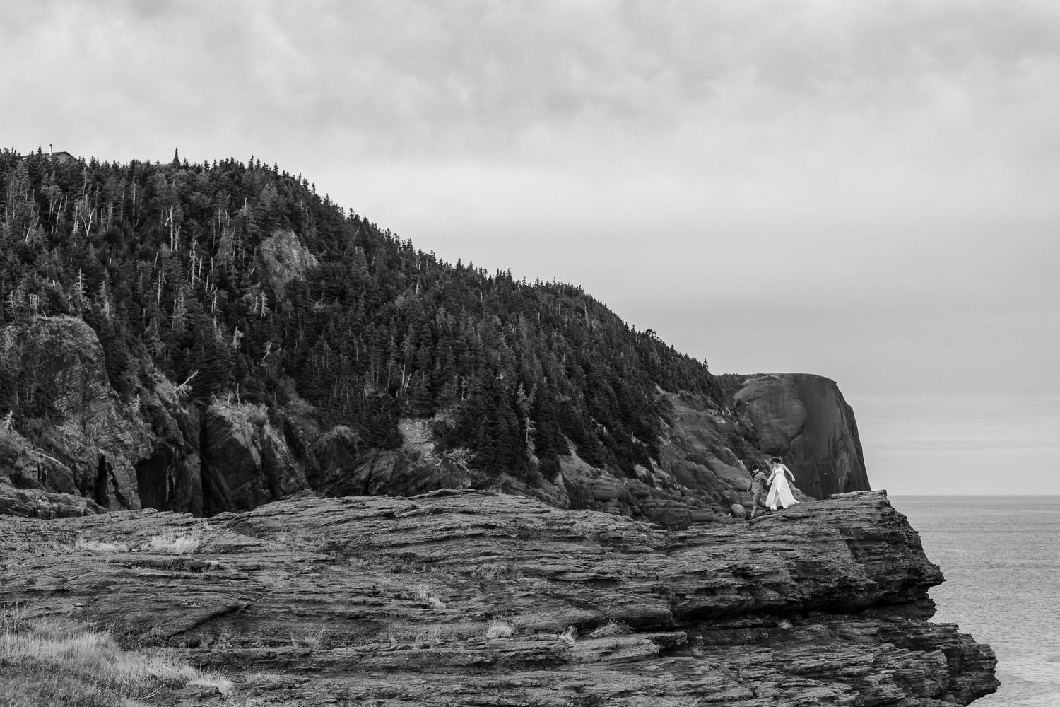 Seven sections of coastal cliffs and rocky shoreline with evergreen trees stretching out to the ocean under cloudy skies.