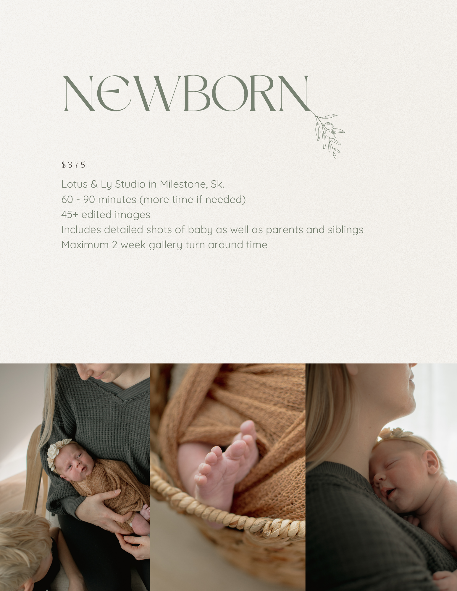 Newborn photography package flyer showing a baby wrapped in warm tones, tiny feet, and a sibling holding a sleeping newborn.