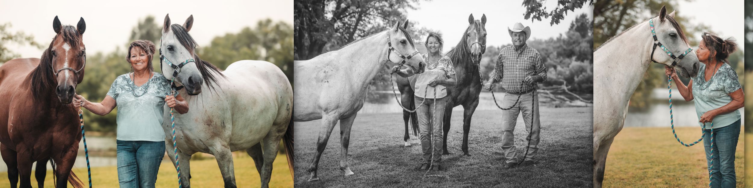 Various equestrian photos showing horses and riders during outdoor activities, training and bonding moments in a collage.