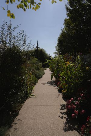 Garden pathway lined with colorful flowers and bushes under a cloudy sky.