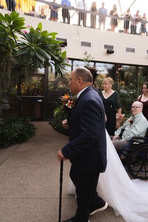 Wedding ceremony processional in a sunlit courtyard with tropical landscaping.