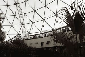 Geometric dome ceiling structure above tropical plants in a wedding venue.