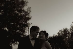 Silhouettes of trees and guests against a dusky sky at an evening outdoor event.