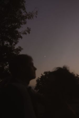 A silhouette against the twilight sky with trees in the background.