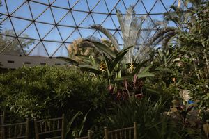 Geometric glass dome greenhouse or conservatory structure with lush plants inside.