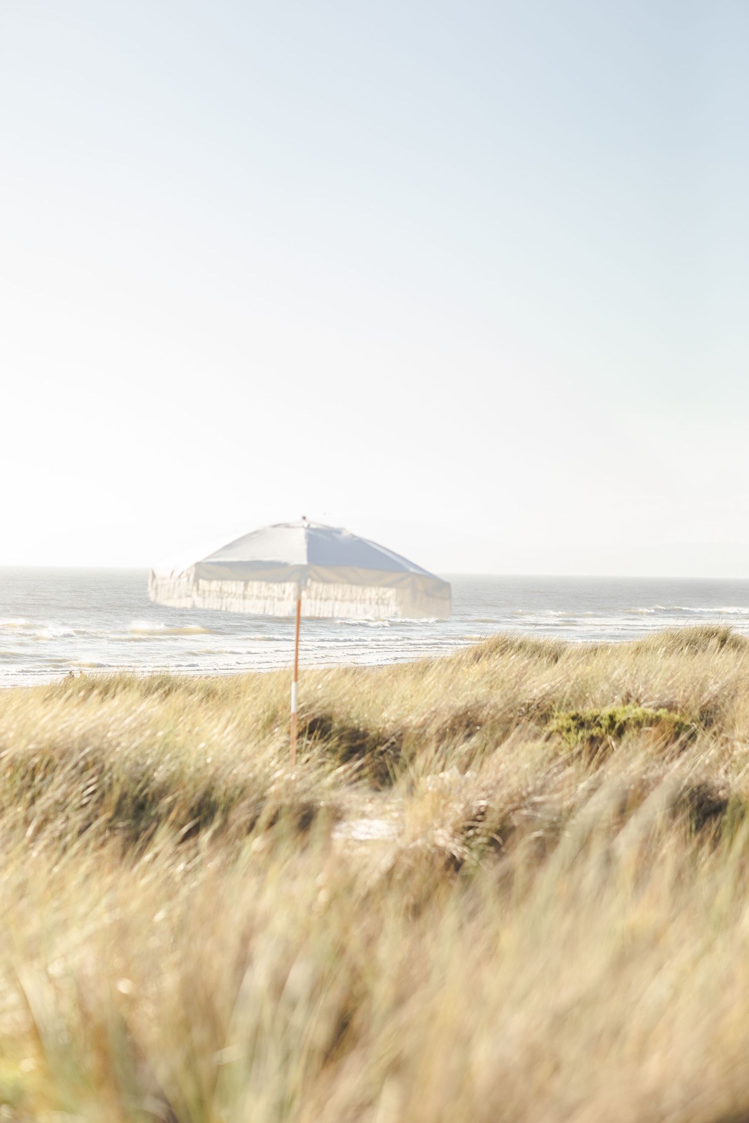 Grassy coastal dunes with tall beach grass swaying in the wind as white cliffs rise in the distance along the shoreline.Film by Chelsee Rawe