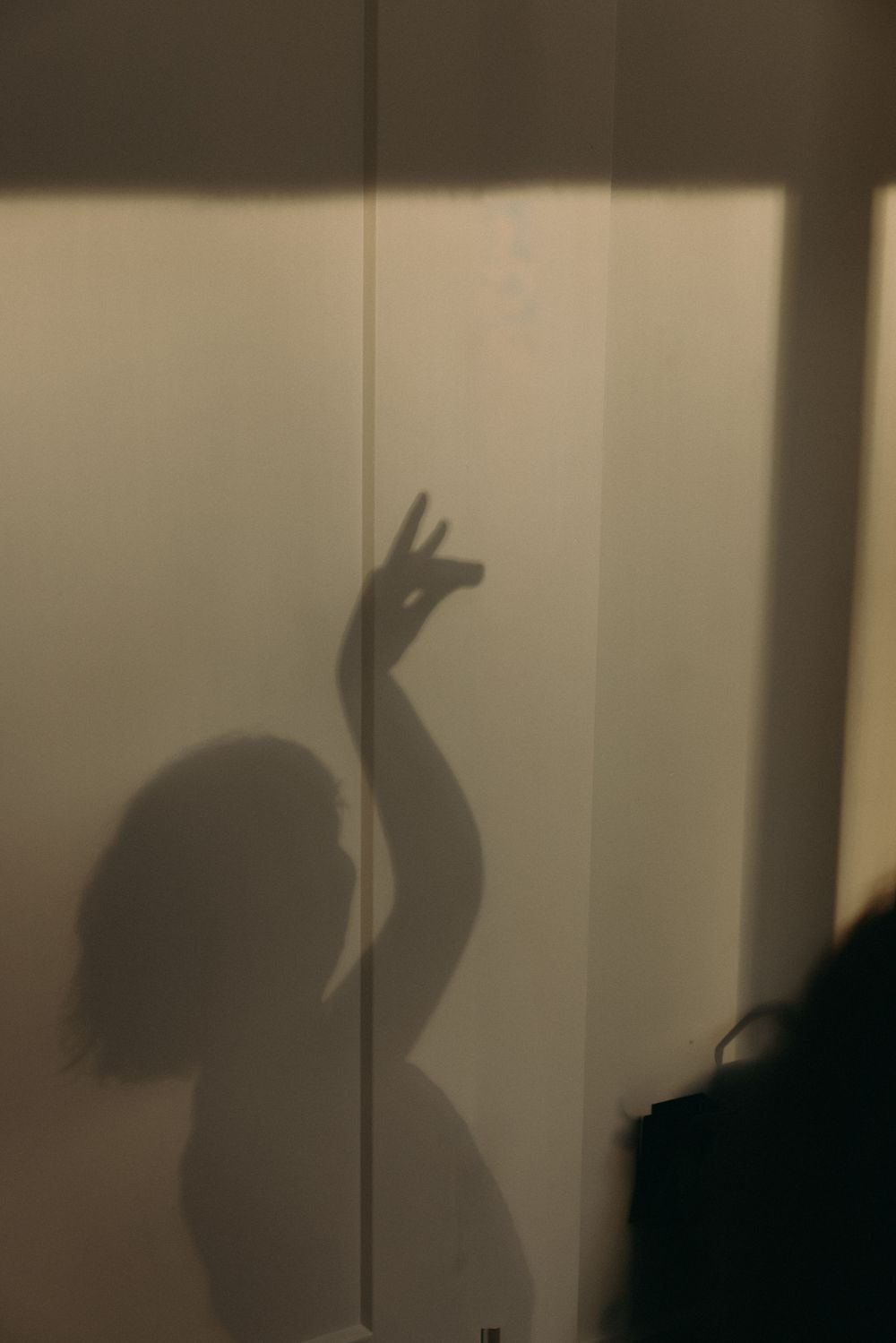 Shadow puppets cast on a wall show a sequence of hand gestures making animal shapes in dim lighting.