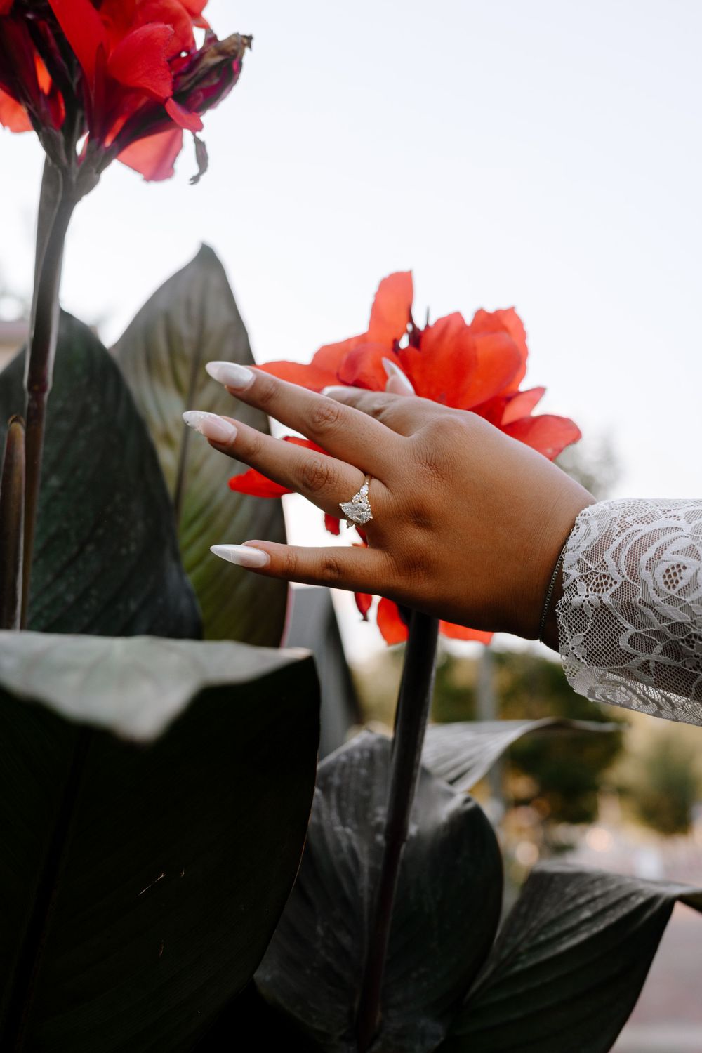 A close-up view of hands holding a red rose against a blurred background.