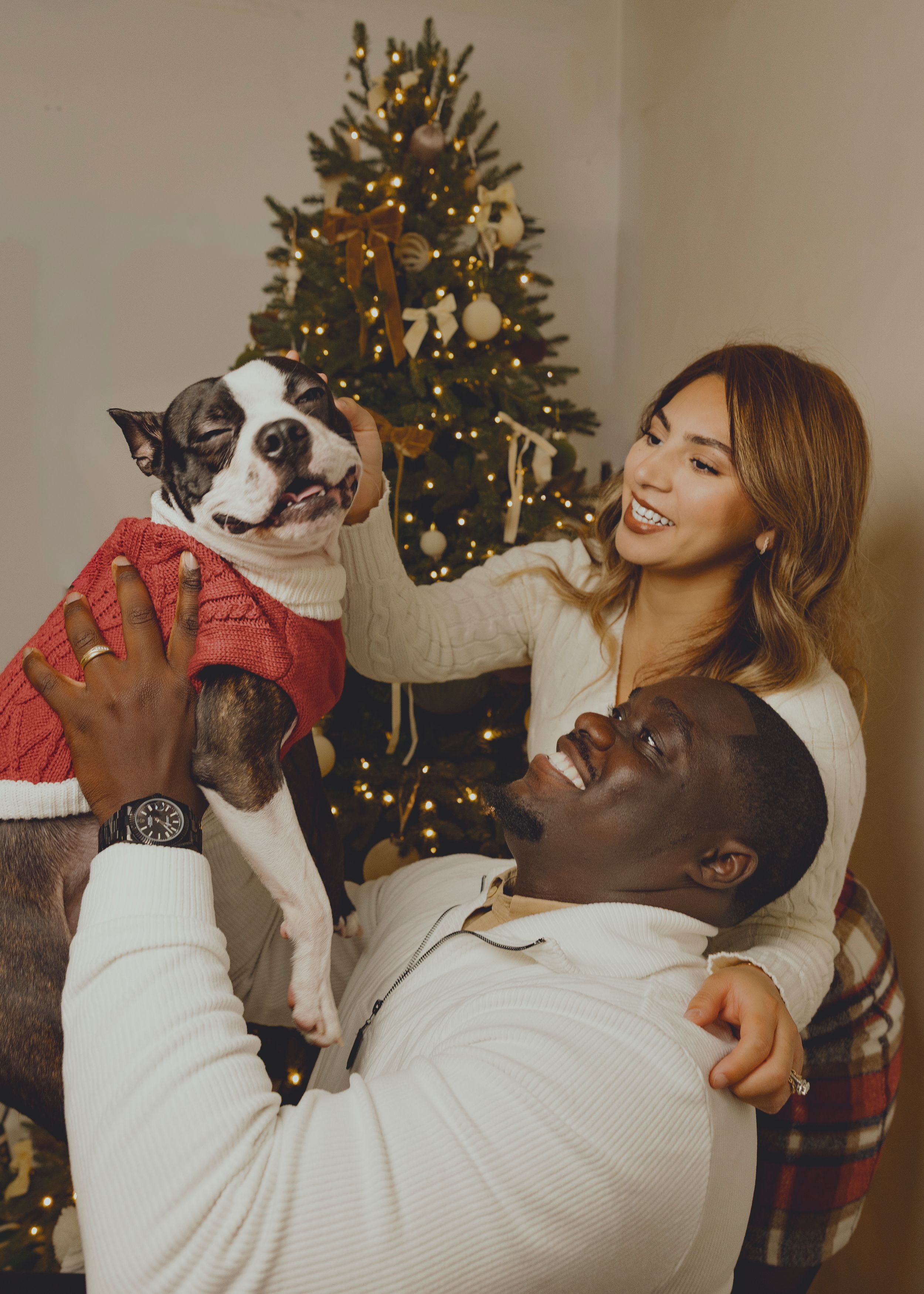 A playful sequence of moments with a black and white dog and someone in a white sweater by a Christmas tree.