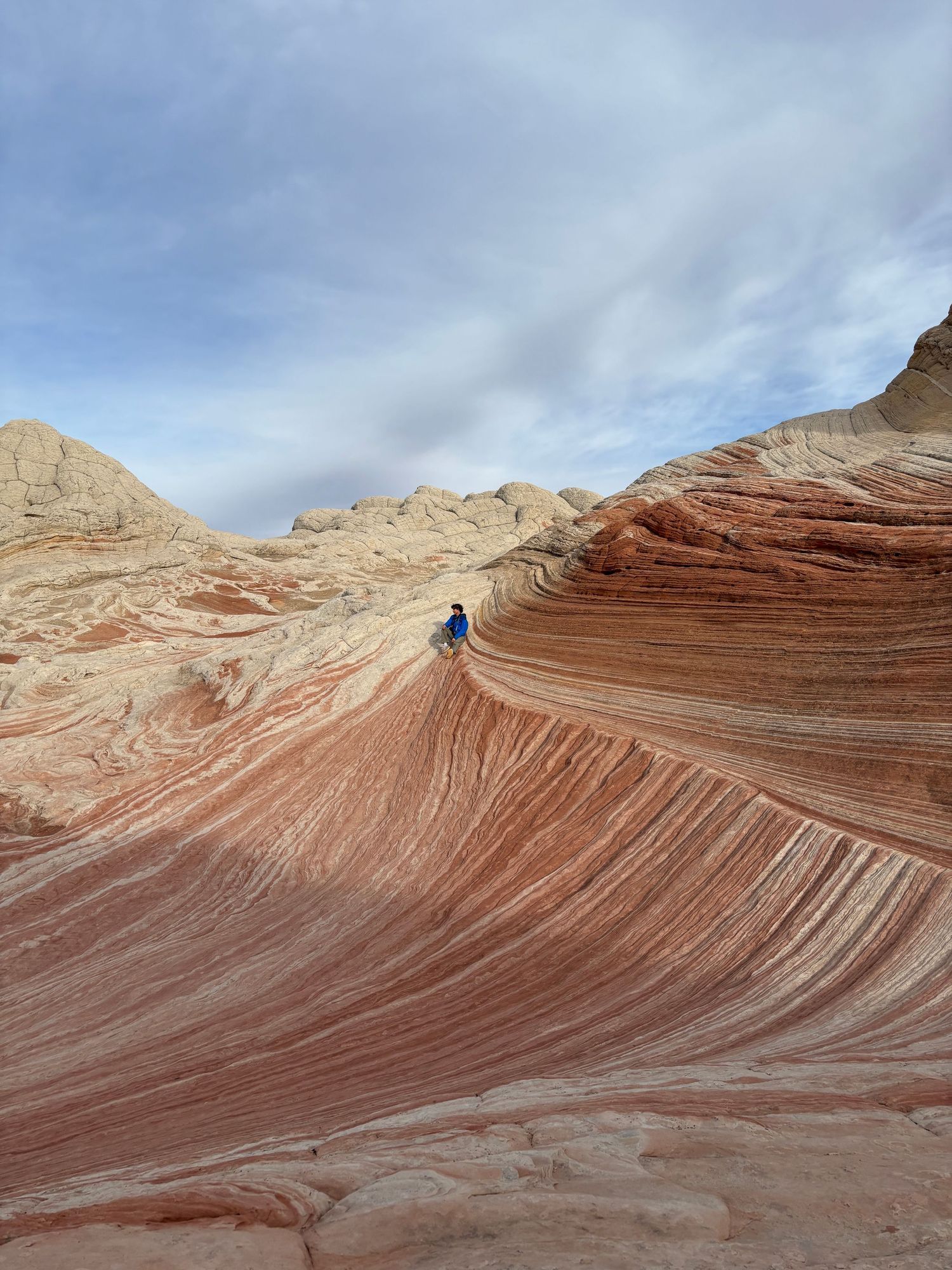 A sequence of photos showing the iconic Wave rock formation in Arizona with its smooth red sandstone curves and striations.